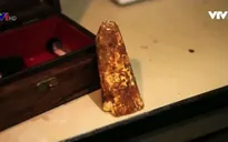 Chống tội phạm săn trộm bằng công nghệ cao