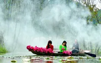 Giới trẻ Hà thành đua nhau chụp ảnh cùng hoa súng trên suối Yến