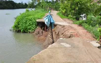 Đồng bằng sông Cửu Long mỗi năm mất hơn 500 ha đất do sạt lở