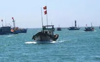 96 tàu cá ra khơi theo Nghị định 67