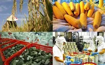 Mức tăng trưởng của ngành Nông nghiệp đang chậm lại