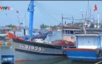 Tàu cá Quảng Nam bị tàu Trung Quốc cướp phá ngư lưới cụ