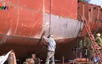 Thêm 22 tàu cá đăng ký đóng mới theo Nghị định 67 ở Quảng Ngãi