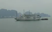 Đình chỉ các tàu thuyền du lịch hoạt động trái phép trên Hồ Tây