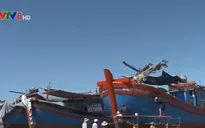 Dừng hoạt động cơ sở đóng tàu không đủ tiêu chuẩn