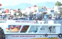 Ngư dân Khánh Hòa đầu tư tàu du lịch đáy kính