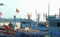 Các địa phương miền Trung chủ động phòng, chống áp thấp nhiệt đới