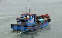 Đề nghị cho 29 tàu cá tránh bão tại Indonesia và Philippines