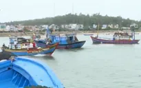 Hơn 200 ngư dân Quảng Ngãi vẫn trong vùng nguy hiểm