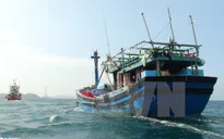 Tặng bằng khen cho chủ tàu cá cứu người gặp nạn trên biển