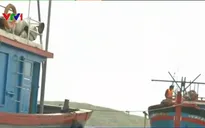 Bình Định: Lai dắt thành công một tàu cá bị nạn