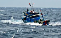 7 ngư dân Bình Định bị nạn trên biển Vũng Tàu