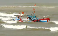 Tàu cá Bình Định bị tàu nước ngoài đâm chìm, 1 người tử vong