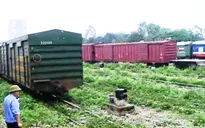 Tàu hàng nhanh chuyên tuyến Bắc Nam chính thức vận hành từ 7/11