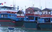 Bọc Composite cho tàu cá - Giải quyết sức ép khan hiếm gỗ