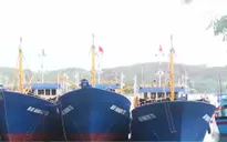 Phó Thủ tướng yêu cầu rà soát chất lượng tàu cá đóng theo Nghị định 67