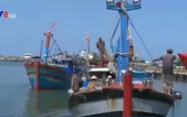 Tàu Đông Phong 68 đâm chìm tàu cá, 4 ngư dân rơi xuống biển