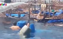 Hỗ trợ tàu câu mực bị đâm chìm vay vốn theo Nghị định 67