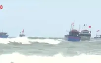 Quảng Nam tăng nguồn vốn đóng tàu đánh bắt xa bờ