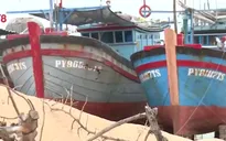 Vay vốn theo Nghị định 67: Ngư dân và ngân hàng đều gặp khó