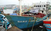 Nguy cơ mất an toàn do sử dụng máy tàu cũ đi biển