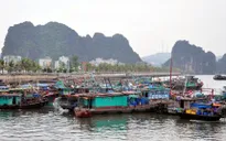 Quảng Ninh, Nam Định, Thanh Hoá, Nghệ An tích cực phòng, chống bão số 3