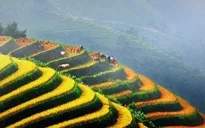 Xúc tiến du lịch Bắc Trung bộ Việt Nam tại Thái Lan