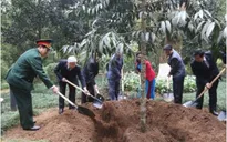 Tổng Bí thư tưởng niệm Chủ tịch Hồ Chí Minh tại Khu di tích K9