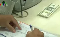 Chính thức mở lại cho vay ngoại tệ từ 1/6