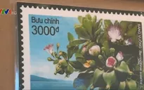 Phát hành bộ tem đặc biệt "Bàng vuông"