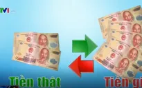 Cần Thơ: Phá đường dây vận chuyển, tiêu thụ tiền giả xuyên quốc gia