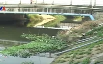 Phát hiện 2 cơ sở kinh doanh xả thải trực tiếp ra môi trường