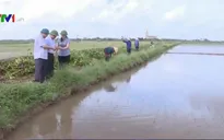 Thái Bình dốc sức khắc phục hậu quả bão số 1