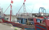 Thái Bình sẵn sàng ứng phó bão số 7