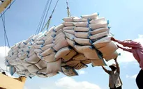 Giá gạo xuất khẩu của Việt Nam vượt qua Thái Lan