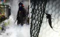 Thái Lan ghi nhận 200 ca nhiễm virus Zika
