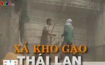 Thái Lan xả kho gạo dự trữ sẽ ảnh hưởng lớn tới XK gạo của Việt Nam