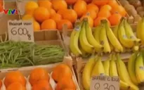 1/3 quốc gia trong EU đối mặt rủi ro thâm hụt ngân sách cao