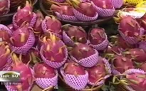 Quan hệ Việt - Nhật đang ở giai đoạn phát triển tốt đẹp nhất