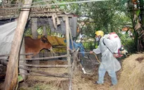 Thanh Hóa: Bùng phát dịch lở mồm long móng