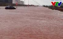 Quỹ Tấm lòng Việt kêu gọi chung tay hỗ trợ đồng bào lũ lụt miền Trung