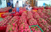 Xuất khẩu nông sản gia tăng mạnh năm 2016