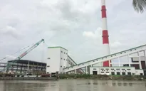 Dự án nhà máy giấy Lee & Man không được tham vấn đúng quy trình