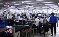 Không hiếm cử nhân Đại học "cất bằng" đi làm công nhân