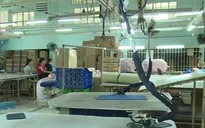 Thi hành án không đúng đối tượng, 500 công nhân đứng trước nguy cơ mất việc