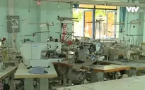 Nhiều sai phạm trong vụ thi hành án xưởng sản xuất ở Hóc Môn