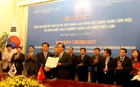 Thị trường lao động Hàn Quốc: Đã khơi thông nhưng vẫn còn thách thức