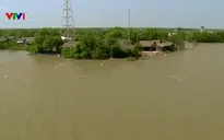 Quốc tế hỗ trợ Việt Nam trong ứng phó với biến đổi khí hậu