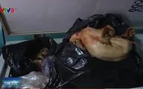 Thu giữ hơn 620kg thịt đông lạnh không rõ nguồn gốc