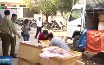 Đăk Lăk: Bắt giữ xe tải chở hơn 700kg thịt động vật hôi thối
